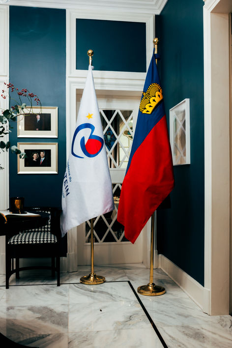 Liechtenstein Fahne im Europarat Fotograf Oliver Ospelt