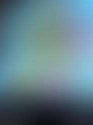 Pupil online meeting