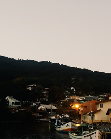 AutoraisFloripa (4).jpg