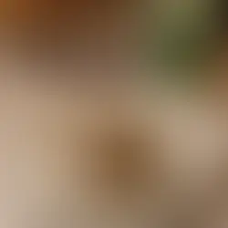 Grupo Carolo presenta la edición mundialista de su icónica concha en Aromas