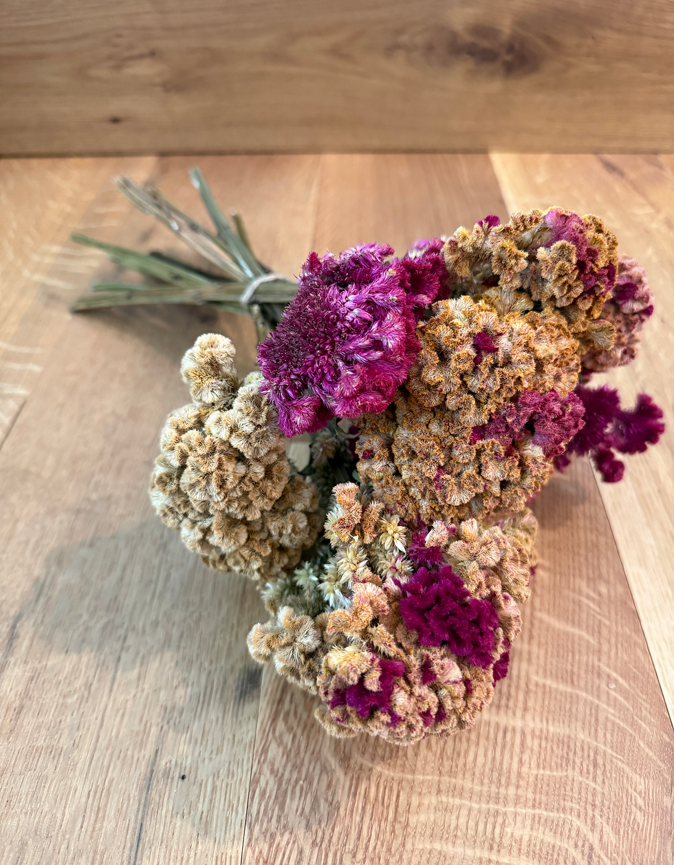 Thumbnail: Dried Cockscomb Arrangement