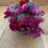Thumbnail: Medium dried flower arrangements