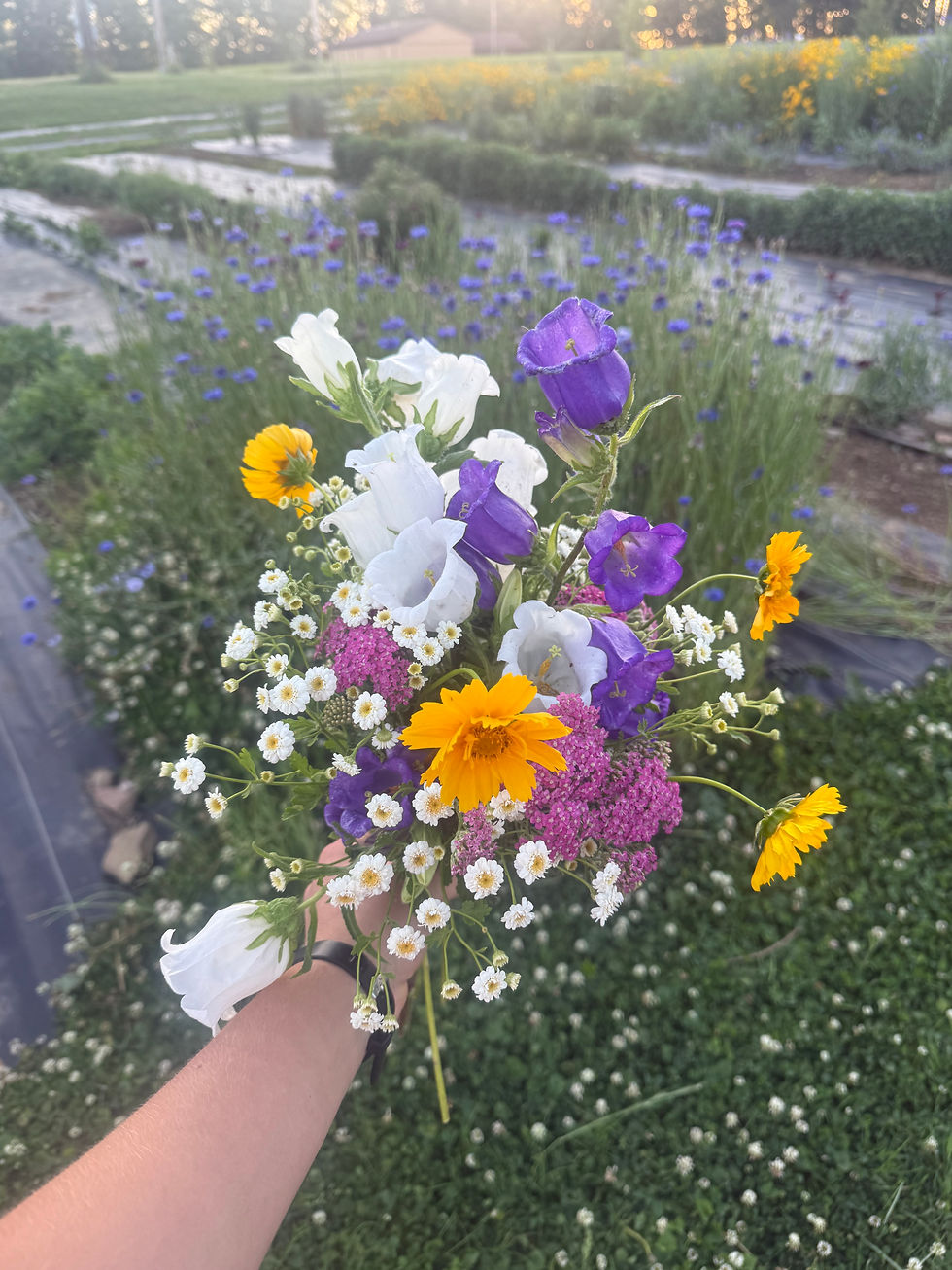 Thumbnail: Large Fresh Flower Arrangement