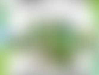 Atelier Petit Pois de printemps