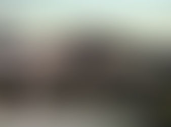 The Transparency of the New Year