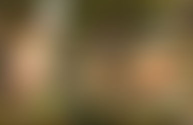 “Myths don’t explain anything.” — Wait, what?