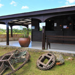 Built on the site of a former 18th century coffee producer whose name it has kept, the BIELLE distillery was created at the end of the 19th Century. Despite its successive changes of owners, it was able to evolve and modernize its facilities to the point of becoming the second distillery in Marie-Galante with a production of 330,000 liters of agricultural rum and derived liqueurs.
Aged in its own cellars, its rum has been awarded several times at the Concours Général Agricole, including 3 gold medals in 2016 for two of its Old Rums and its Bois Bandé liqueur, for example.
In its range of products, we find white rums bottled at 59° or 56° and even a latest addition, “Rhum Rhum” at 46°. In the range of dark rums: two rums at 42° aged in oak barrels of 9 and 10 years of age, and two marketed in barrel strength of 14 years (a rarity) at 49.8° and 6 years at 55.5°. Finally, let us note a specificity of the distillery, its rum-based liqueurs and flavored with natural (and local of course) aromas of coconut, coffee, chocolate, shrubb and bandé bois.