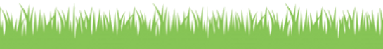 herbes.png