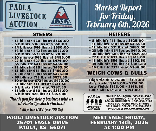 Market Report 02-06-26.png