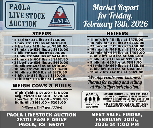 Market Report 02-13-26.png