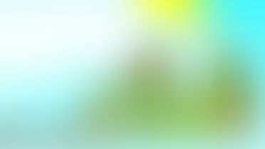 PACO Lierke Plezierke 6/10/2024