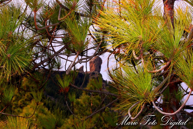 IMG_4138_R