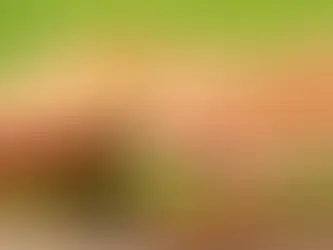 Jersey Mikes: From One Store to Success