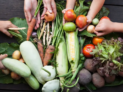 Sustainability Pays: Unlock Incentives for Eco-Friendly Practices in Your Restaurant