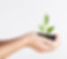 Descubre cuales son tus fortalezas e identifica tu talento gracias al coaching profesional