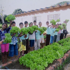 Cidade da Fraternidade