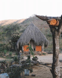 Aldeia Macaco Chapada dos Veadeiros