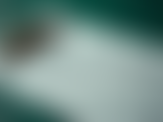 Understanding Odds: A Guide for Bettors