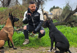 קר.jpg