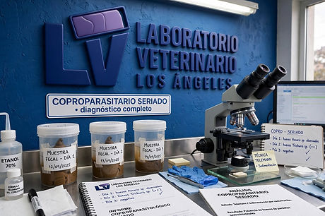 veterinary_lab_coproparasitology.jpg
