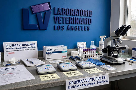 veterinary_lab_vectorial_testing.jpg