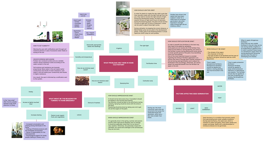 mind map