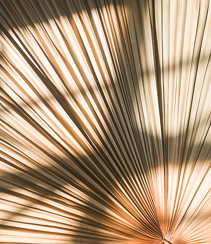 Christina Massey Instagram Posts (8).png