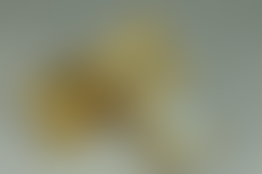 "Train the Ausbilder"-Konzept mit dem Metalog Trainingspreis 2018 in Silber ausgezeichnet