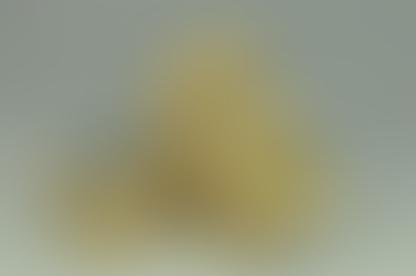 WANTED! Partner für Fokus-Azubi gesucht!