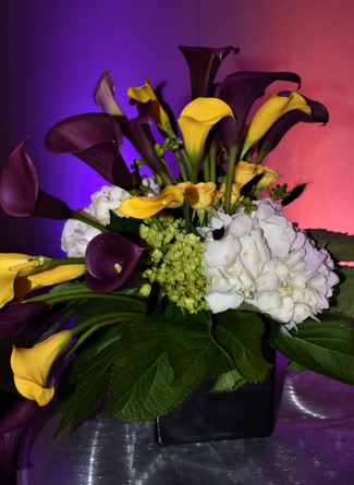 2018 Seeds of Hope Fashion Show Fundraiser for Dartmouth-Hitchcock Norris Cotton Cancer Center