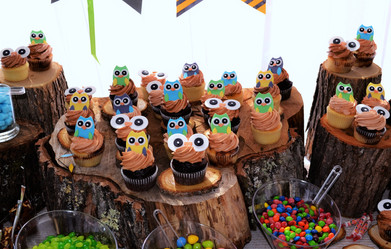 Owls in the Woods Baby Shower