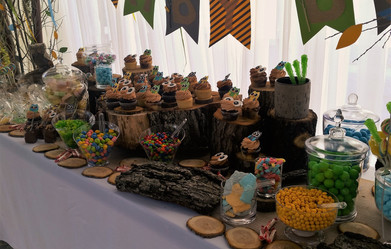 Owls in the Woods Baby Shower