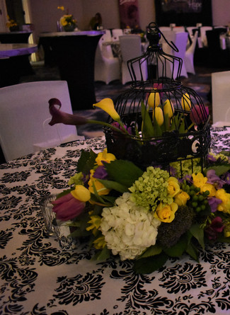 2018 Seeds of Hope Fashion Show Fundraiser for Dartmouth-Hitchcock Norris Cotton Cancer Center
