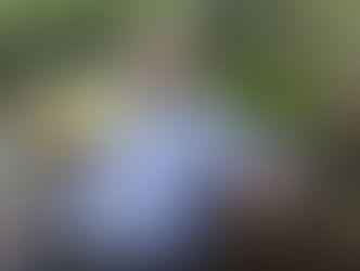 Bruce Stronach - President of Showa Boston Institute 