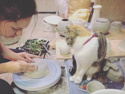 Rachel Arredondo - Daigomachi, Ibaraki (2014-2016)