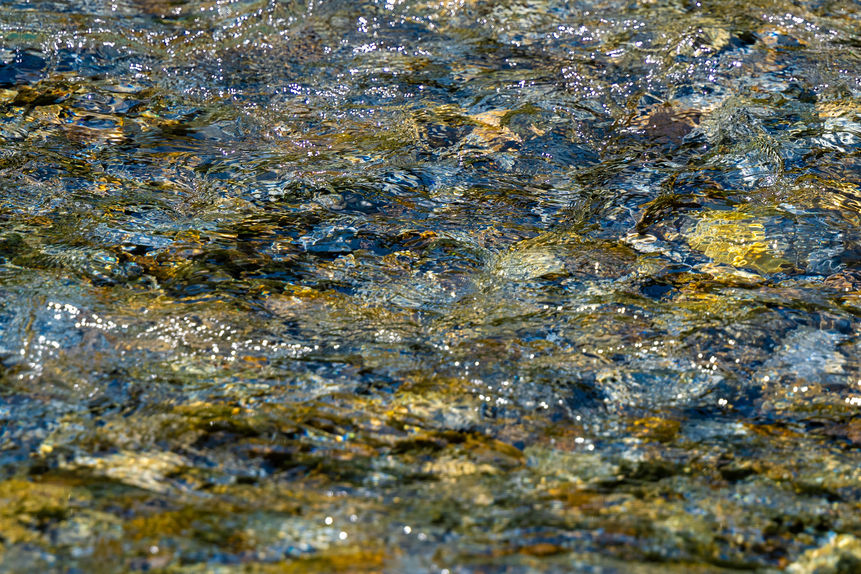 ICM, rivier in beweging, water