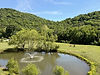 IMG_0655.jpeg