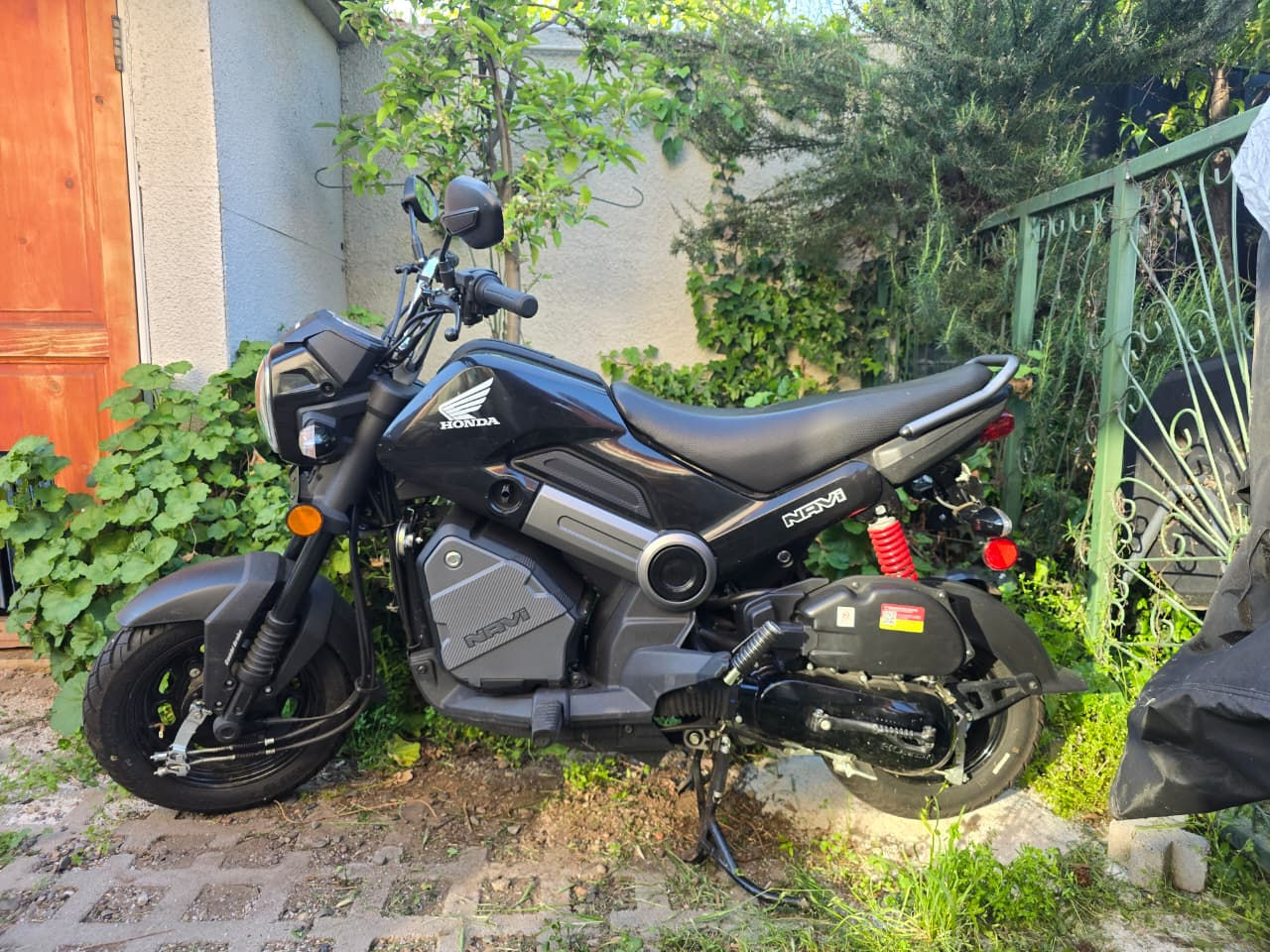 Honda Navi 2024