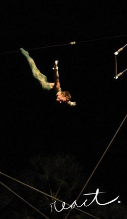 Flying Trapeze Dive