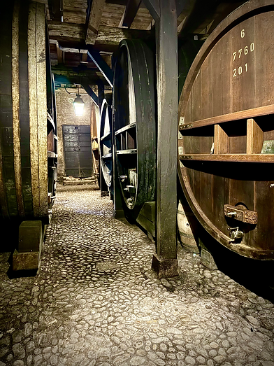 aging room in Neuchâtel