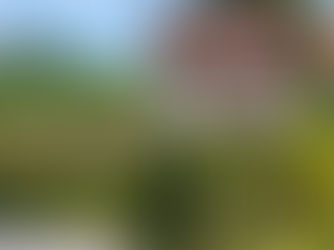 Les collines des Langhe, la beauté cachée du Piémont