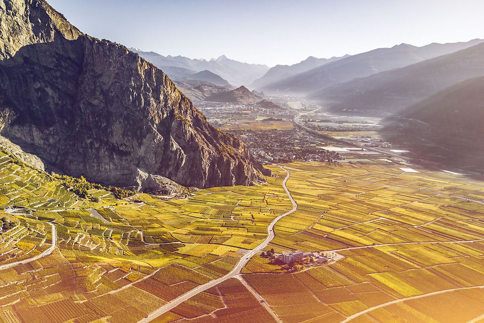Chamoson vineyard from the top of the village