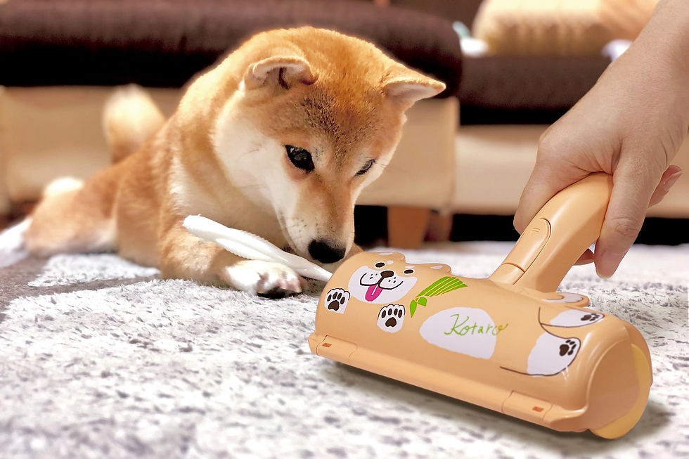 Thumbnail: N76KT Pacpak [Kotaro]