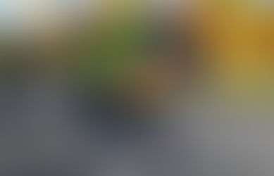 ADL: Tiefenrettung Wald