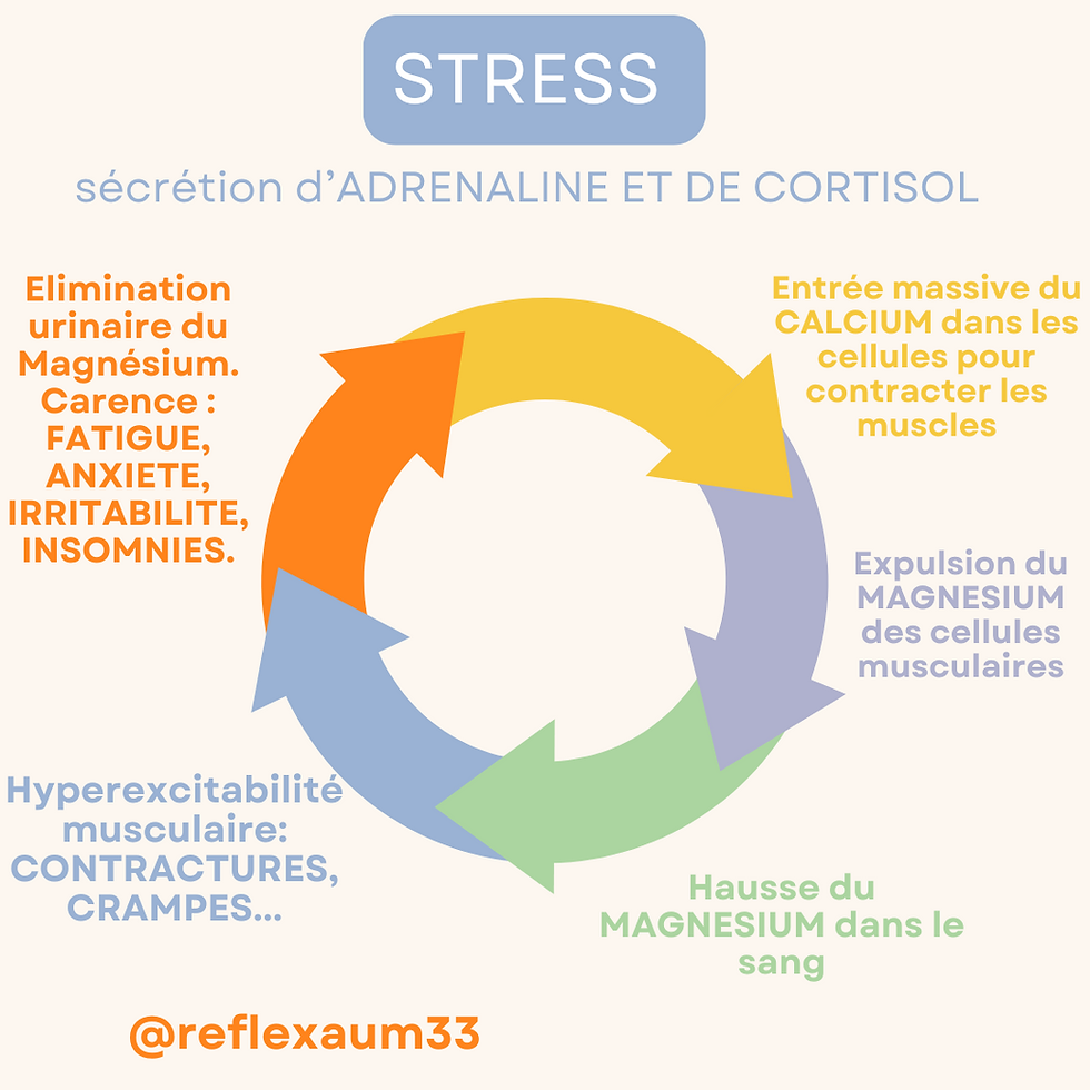 cercle vicieux