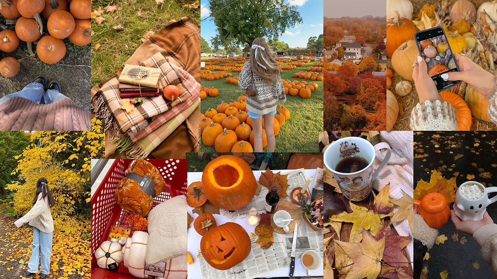pumpkin patch paradise fall wallpaper!🎃🧺👩‍🌾🌟🌻