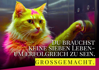 Gelbe Katze im Fahrstuhl einer Marketing Agentur Potsdam.