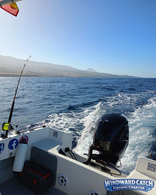 Vista vertical desde la bañera de popa de Windward Catch Fishing Charter mostrando la estela del motor y una caña lista con el relieve montañoso de la isla al fondo.