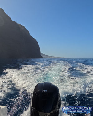 Estela de espuma blanca del motor fueraborda navegando a babor muy cerca de las sombras del acantilado de Los Gigantes con Windward Catch Fishing Charter.