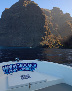 Cubierta de proa blanca con el logo centrado de Windward Catch Fishing Charter apuntando hacia las inmensas paredes de roca de Los Gigantes.